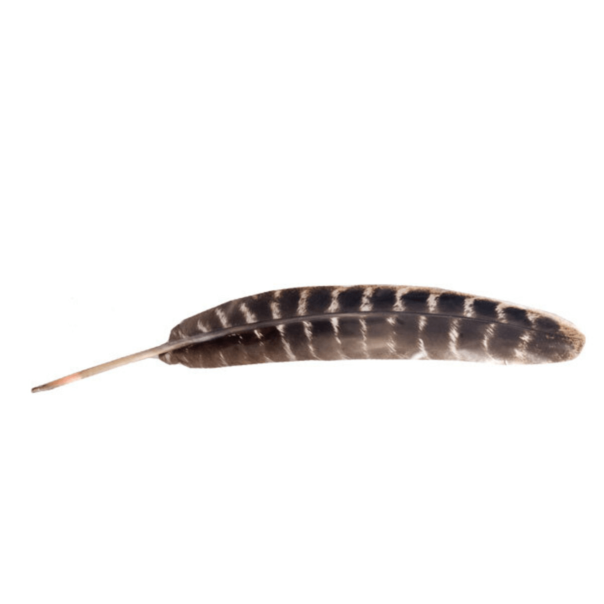 SMUDGE FEATHER - Energy Wicks