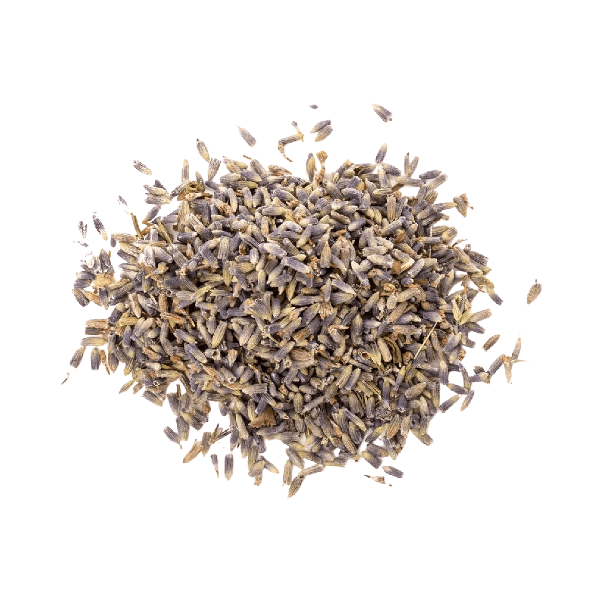 LAVENDER FLOWER BUDS - Energy Wicks