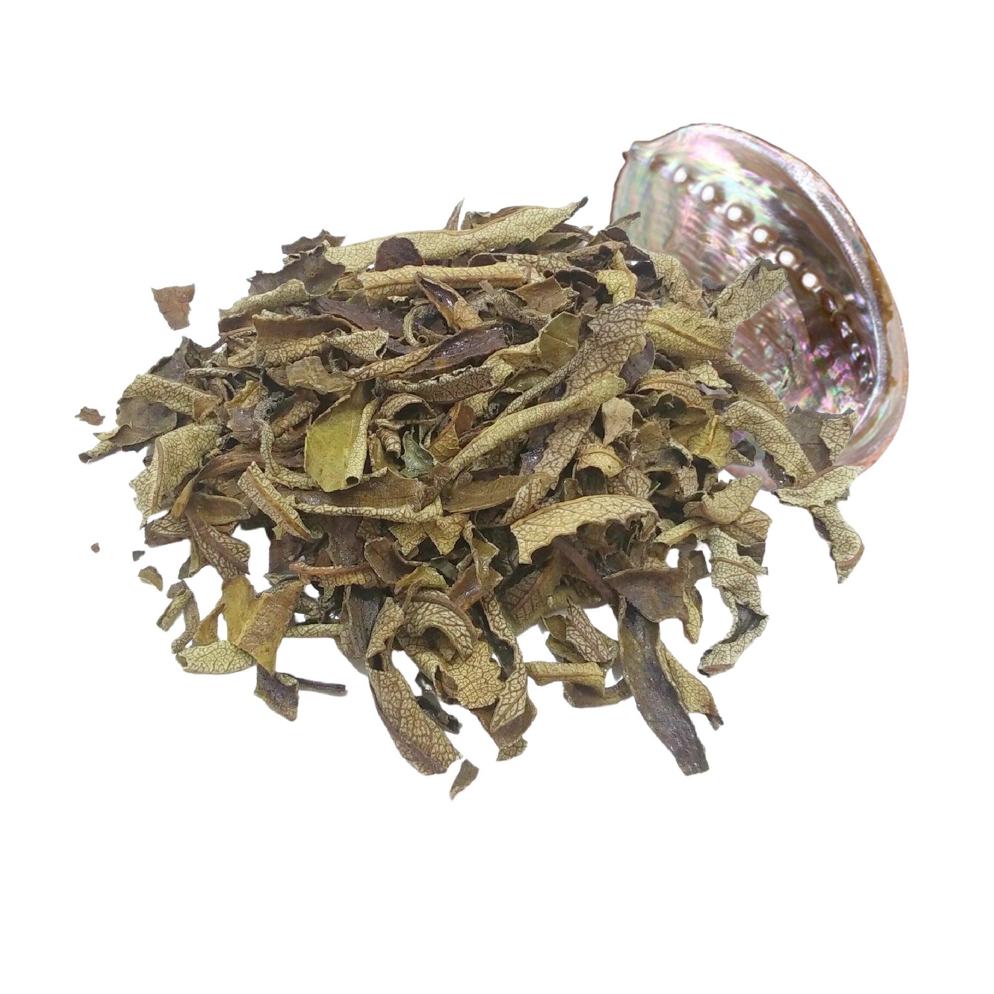 Loose Yerba Santa