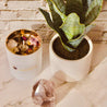 STRESS REDUCER - Energy Wicks